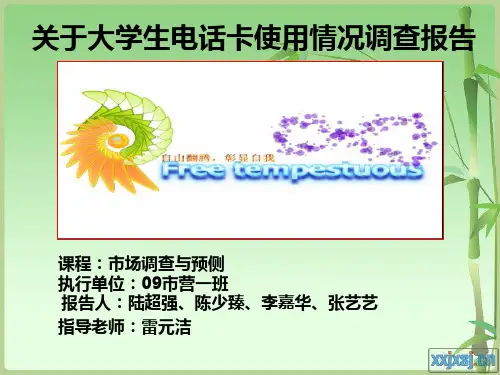 电话卡调查报告