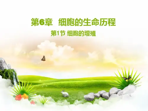 人教版高中生物必修一 6-1(1)细胞的增殖高中生物公开优质课