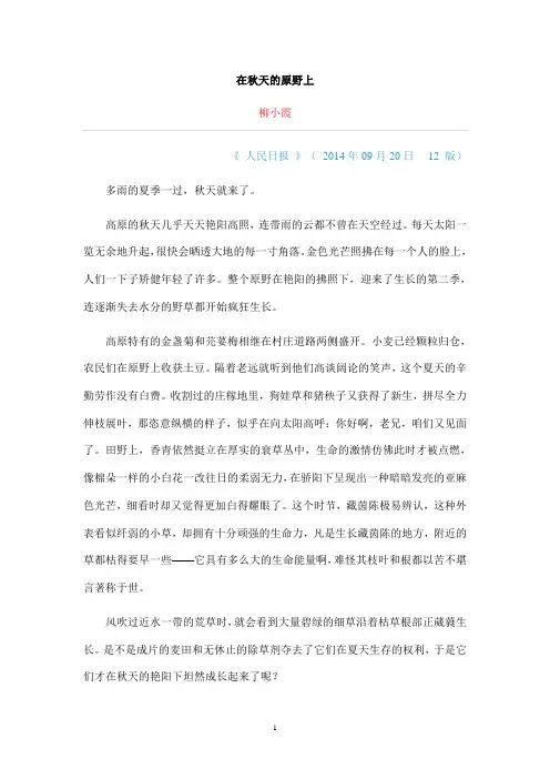 在秋天的原野上