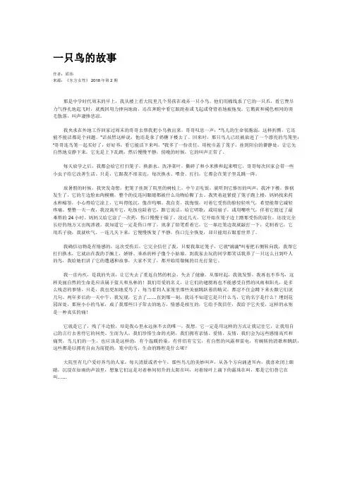 一只鸟的故事