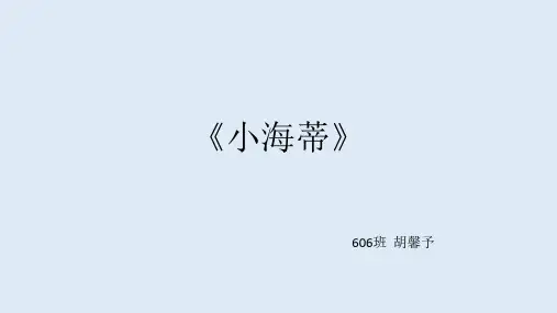 60634小海蒂