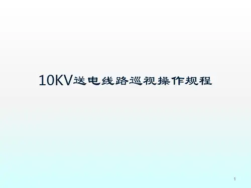 10KV线路巡视操作规程ppt课件