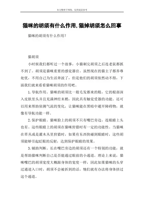 猫咪的胡须有什么作用,猫掉胡须怎么回事