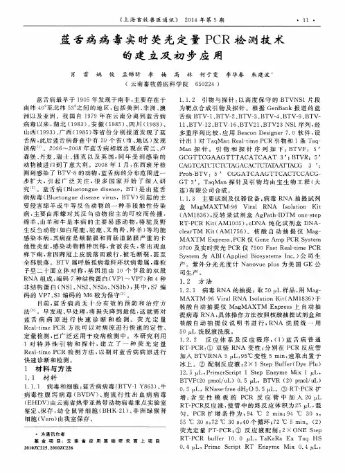 蓝舌病病毒实时荧光定量PCR检测技术的建立及初步应用