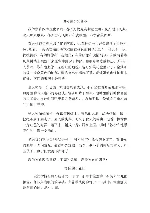 我爱家乡的四季 2