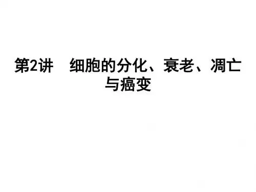 第11讲_细胞的分化、癌变、衰老和凋亡
