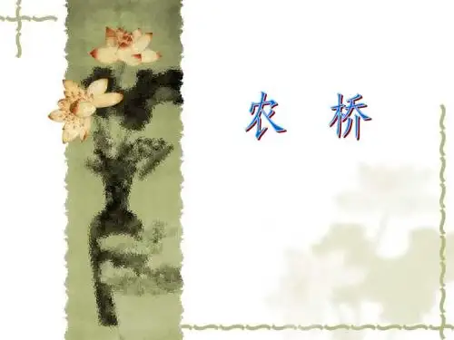 农桥建筑物设计