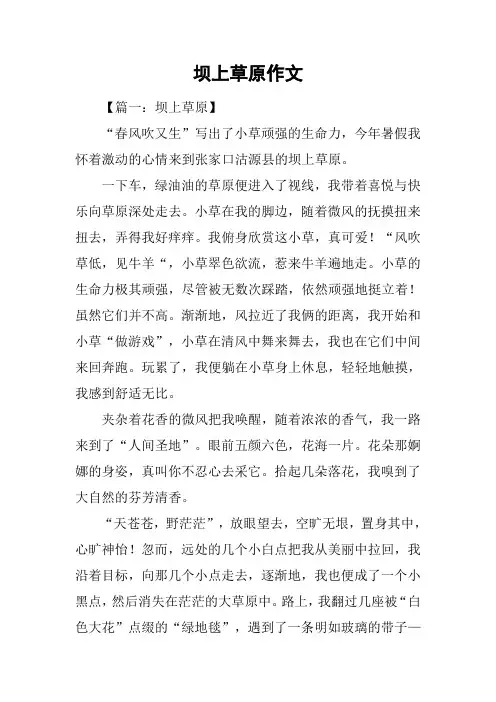坝上草原作文