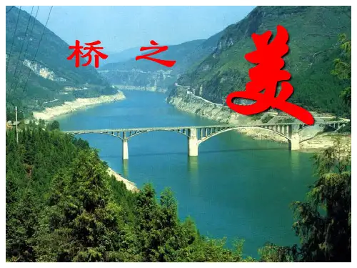 语文-人教彩色版-八年级上桥之美