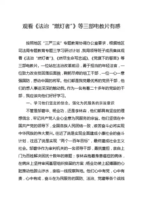 观看电教片法治燃灯者心得体会