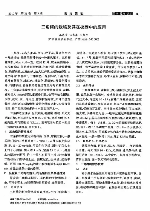 三角梅的栽培及其在校园中的应用