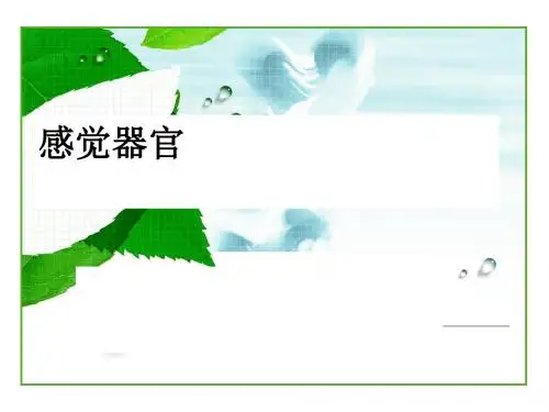 感觉器官