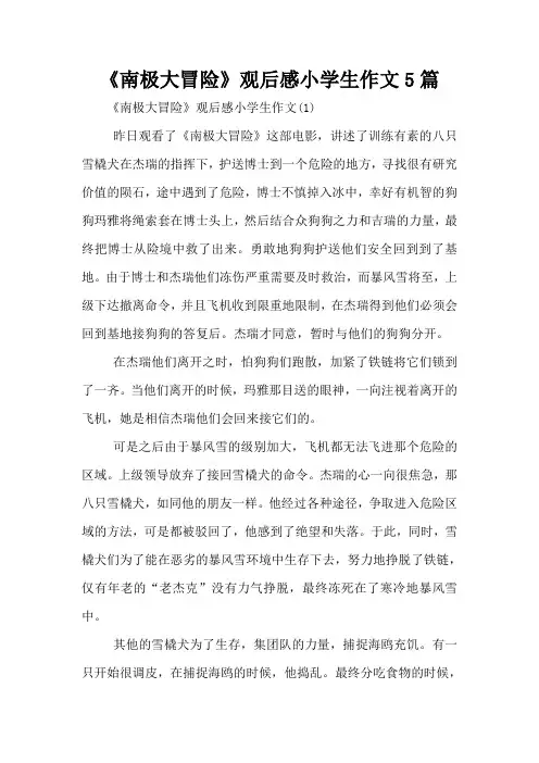 《南极大冒险》观后感小学生作文5篇