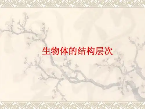 动物