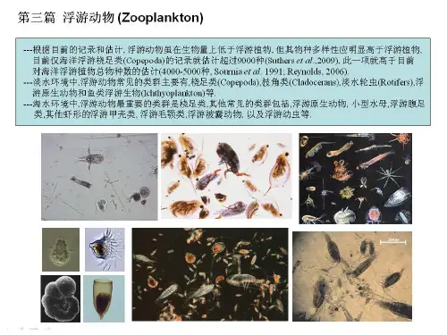 《海洋浮游生物学》 (15)