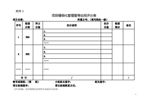 中国中铁项目精细化管理督导巡视评分表及评分标准