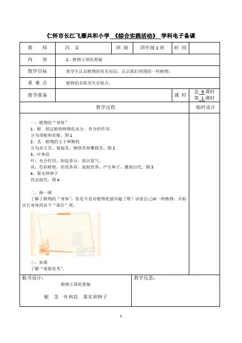 人民教育出版社四年级上册《综合实践活动》电子备课(教案、教学设计)精简版之植物王国的奥秘教案