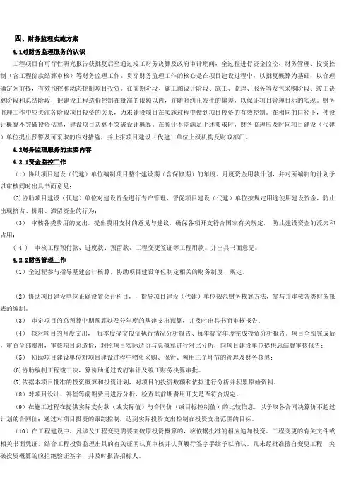 财务监理服务方案