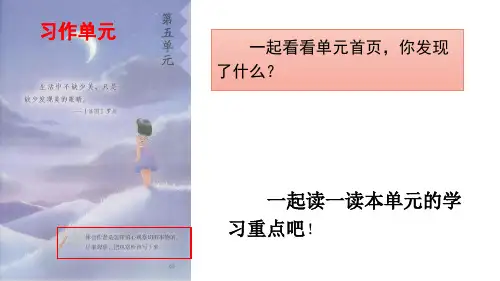 【三上】公开课课件 15 搭船的鸟 部编版