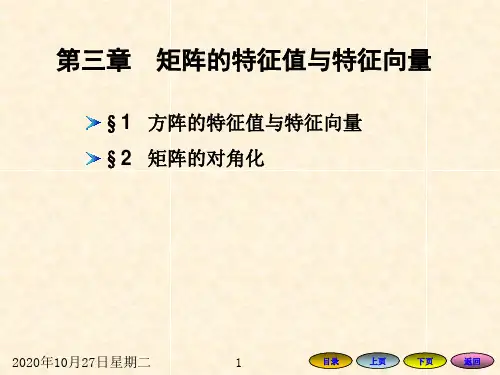 3矩阵的特征值和特征向量总结