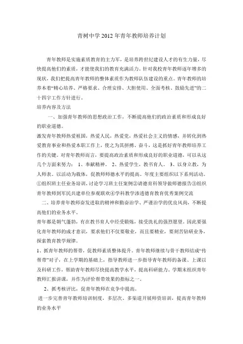 青年教师培养计划 2