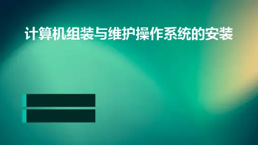 计算机组装与维护操作系统的安装