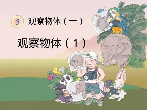 新人教版数学二年级上册《观察物体》第一课时课件