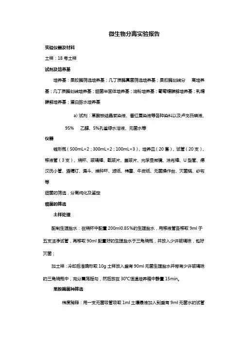 微生物分离实验报告