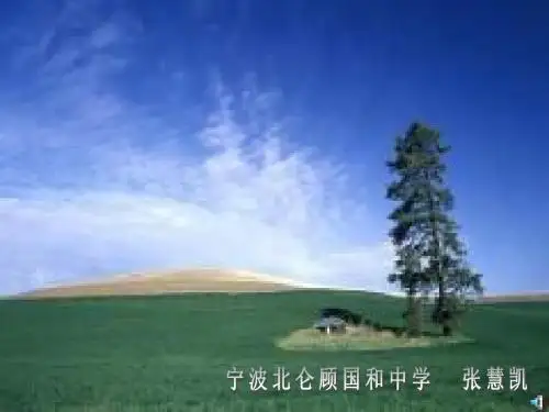 八年级科学二氧化碳