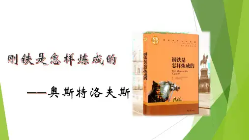 《钢铁是怎样炼成的》优秀教案