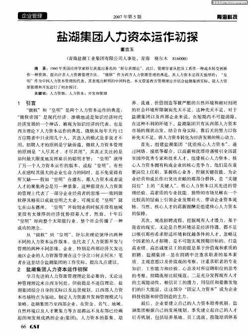 盐湖集团人力资本运作初探