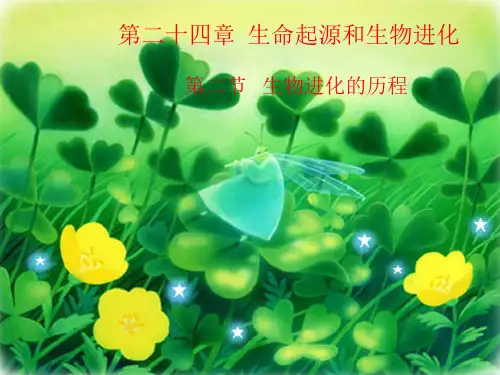 苏教版生物八上5.16.2 生物进化的历程 课件(共25张PPT)