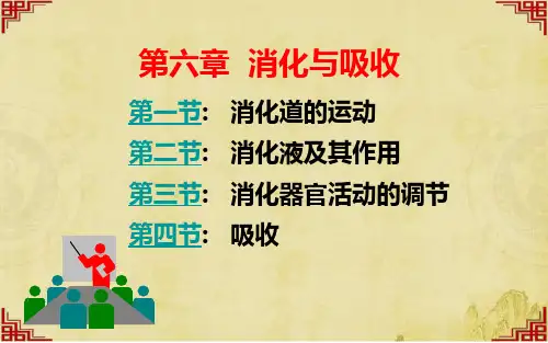 第六章 消化与吸收