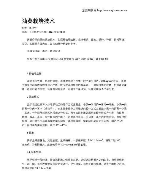 油葵栽培技术 2