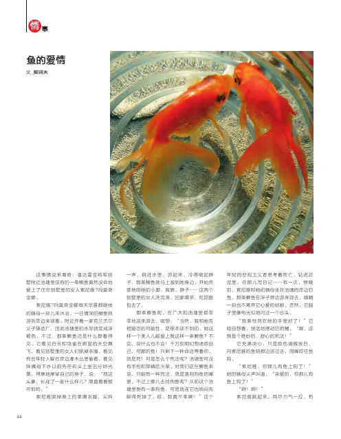 鱼的爱情