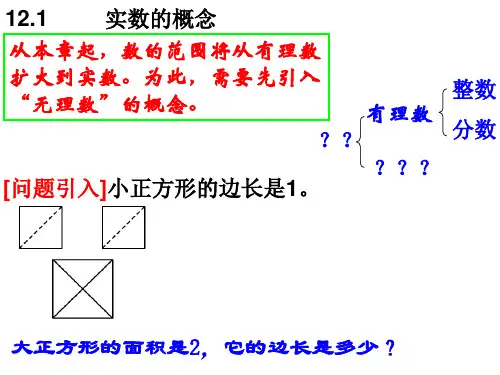 沪教版 七年级下数学12.1节-- 实数的概念【优秀课件】浦东外国语学校 励一敏