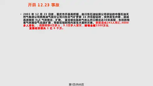硫化氢的性质和危害PPT课件