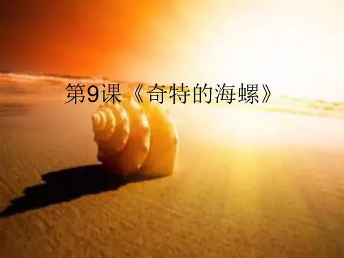 邱文贤课件《奇特的海螺》