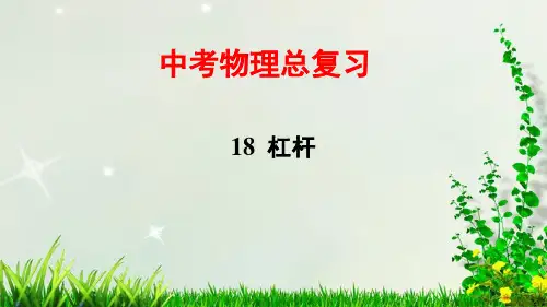 中考物理总复习——18 杠杆