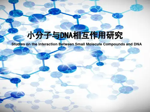 小分子与DNA相互作用研究