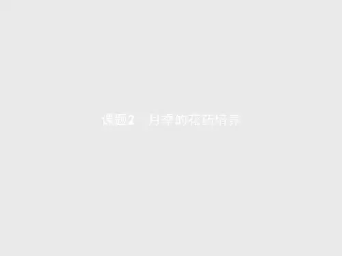 【课堂设计】高二生物人教版选修1课件3.2 月季的花药培养