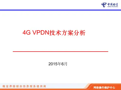 2-4GVPDN技术方案分析