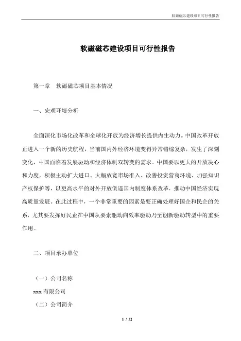 软磁磁芯建设项目可行性报告