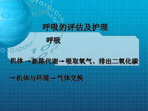 《饮食护理》PPT课件