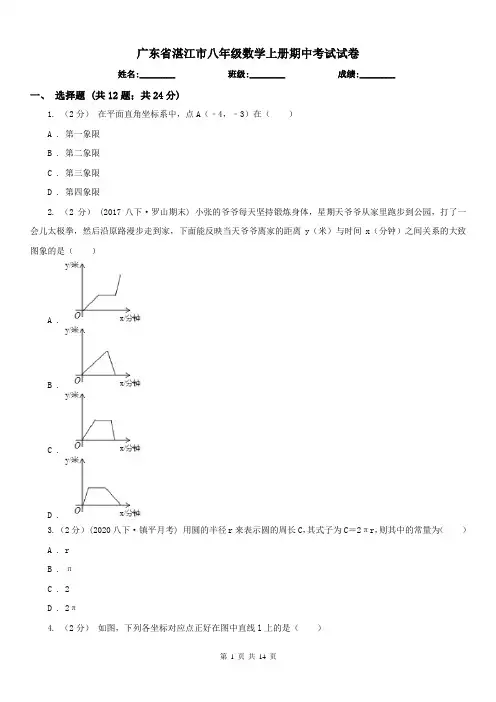 广东省湛江市八年级数学上册期中考试试卷