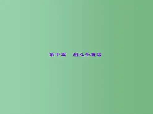 中考语文专题复习第1部分重点文言文梳理训练第十篇《湖心亭看雪》课件