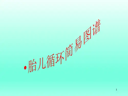 胎儿循环图解PPT幻灯片课件