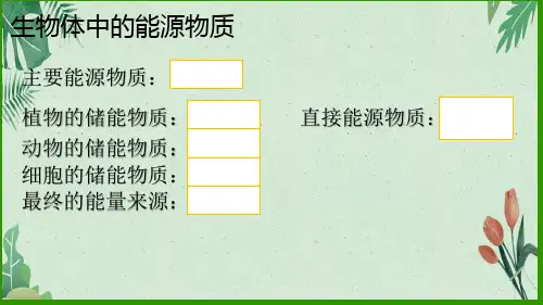 高中生物必修一课件：5.2细胞的能量“通货”——ATP(共14张PPT)(完美版课件)