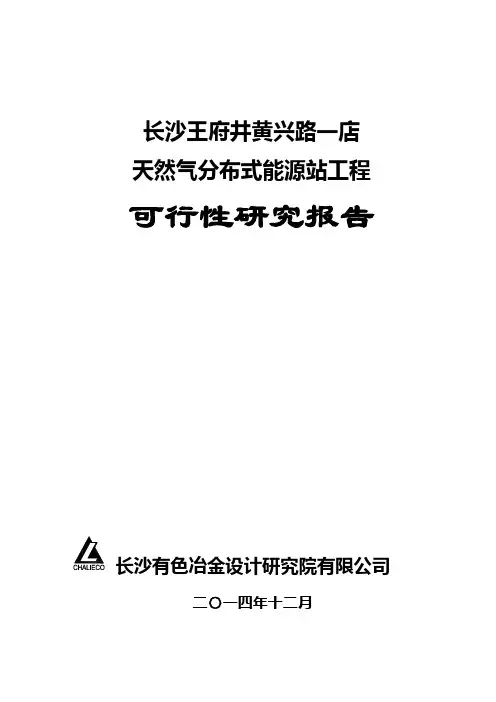 王府井燃气分布式能源站可行性研究报告