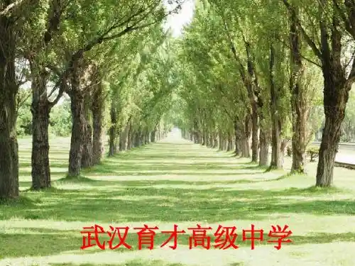丹柯